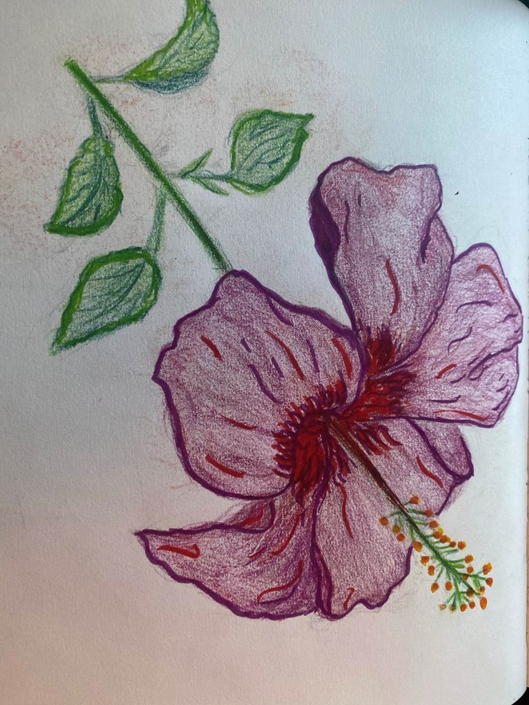 Student Artwork Aloha Hawaii Flower Colored Pencil